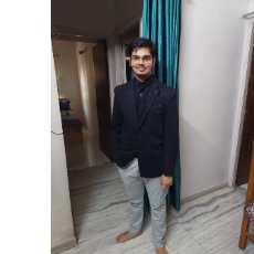 Parva Mankad-Freelancer in AHMEDABAD,India