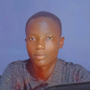 Faleye Busuyi-Freelancer in Akoko South West,Nigeria