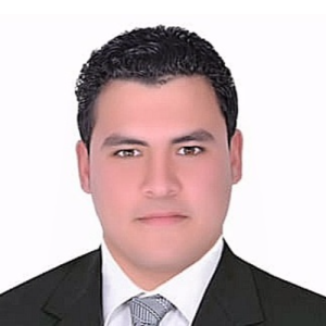 Hamada Ashour-Freelancer in Sharqia,Egypt