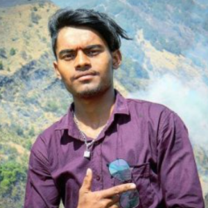 Mridual Krishan-Freelancer in Chandighar,India