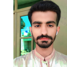 Ali Raza-Freelancer in Mandi bahauddin,Pakistan