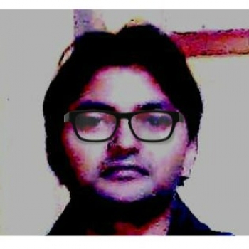 Avinash Bandil-Freelancer in Noida,India