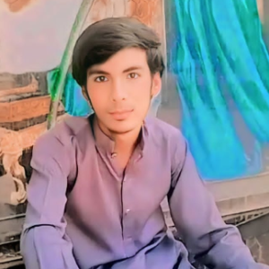 Ahmer Ghaffar-Freelancer in khairpurtamewali,Pakistan