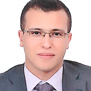Amr Abdelmaguid