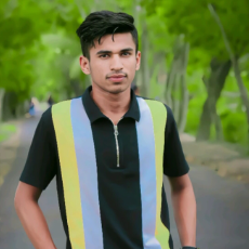 Saifuddin Sheikh-Freelancer in Dhaka,Bangladesh