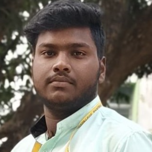 Subham Behera-Freelancer in Bhubaneswar,India