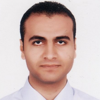 Mohamed Hassan-Freelancer in MOHANDSEEN,Egypt