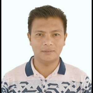 Dilon Gangmei-Freelancer in Imphal,India