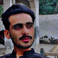 Malik Mubashir-Freelancer in kotaddu,Pakistan