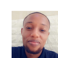 Oluwatobi Oyinlola-Freelancer in Lagos,Nigeria