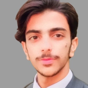 Musawar Hussain-Freelancer in Sahiwal,Pakistan