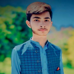 Talha Mughal-Freelancer in Lahore,Pakistan