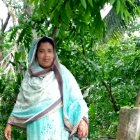 Bibi Hawa-Freelancer in Hajiganj,Bangladesh