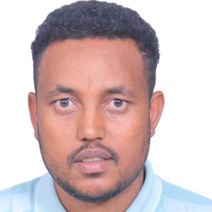 Mengistu Belay-Freelancer in Addis Ababa,Ethiopia