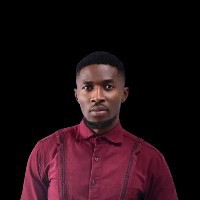 Michael Duru-Freelancer in Awka South,Nigeria