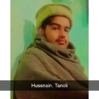 Husnain Ali-Freelancer in Haripur,Pakistan