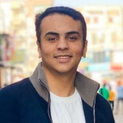 Esmail Eltahlawy-Freelancer in Toukh,Egypt