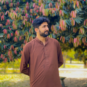 Abrar Saghir-Freelancer in Lahore,Pakistan