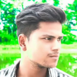 Prince Kumar-Freelancer in Patna,India