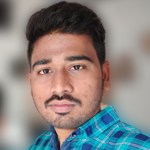 N Naveen Kumar-Freelancer in Bengaluru,India