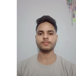 Faiz Mansuri-Freelancer in Indore,India