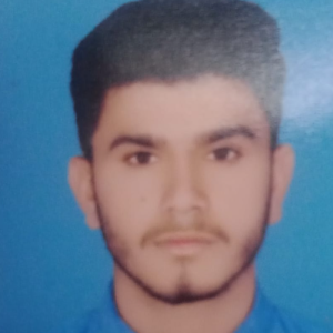 Muhamad Sharjeel-Freelancer in Faisalabad,Pakistan