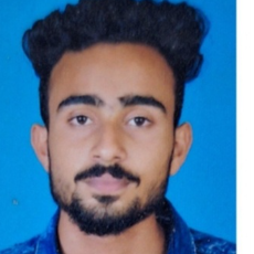 ANEESH-Freelancer in Alappuzha,India