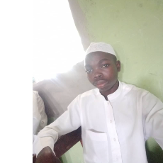Abdur-rohman Sharofudeen-Freelancer in EDE, OSUN,Nigeria