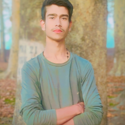 Sahil Ahmad-Freelancer in ganderbal,India