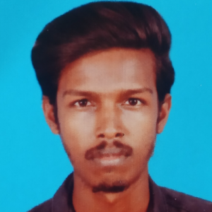 Vasanth-Freelancer in Tiruchirappalli,India