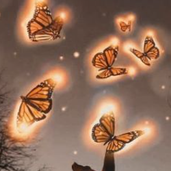 Shehanshah Khan-Freelancer in Lemesos,UAE