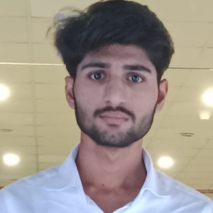 Ali Hamza-Freelancer in Hafizabad,Pakistan