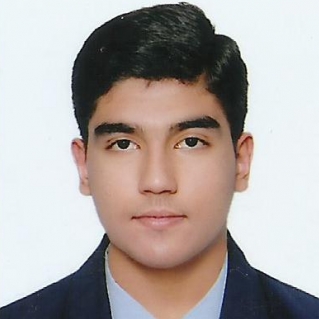 Sarfraz Ali-Freelancer in ,Saudi Arabia