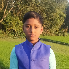 Jyotish Sarkar-Freelancer in Nabiganj,Bangladesh