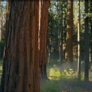 Vinesh Swargam-Freelancer in Worli,India