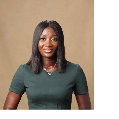 Oluwapamilerin Akanbi-Freelancer in Ado-Ekiti,Nigeria