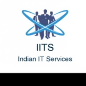 IITS Indian IT Services-Freelancer in Pune,India