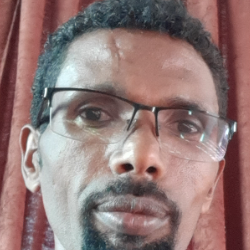 Tsegay Gebremeskel-Freelancer in Shire,Ethiopia