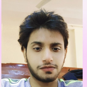 Talha Qureshi-Freelancer in Bahawalpur,Pakistan