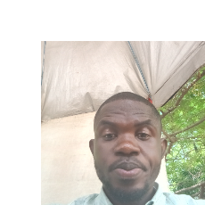 Onyebuchi Alicho-Freelancer in Abuja Nigeria,Nigeria