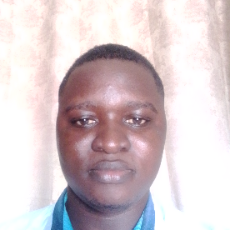 Raphael Ofoe Sewornu-Freelancer in Accra,Ghana