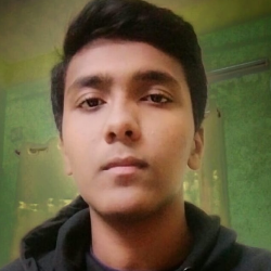 Md. Saidul-Freelancer in Noakhali District,Bangladesh