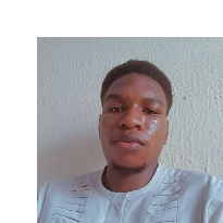 Daniel Vincent-Freelancer in ,Nigeria