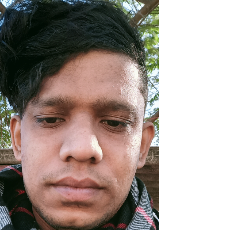 Bhargav Kashyap-Freelancer in Ahmedabad,India