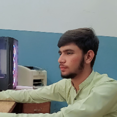 Ameer Hamza-Freelancer in ,Pakistan