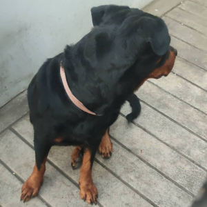 Annie B.-Freelancer in Valenzuela,Philippines