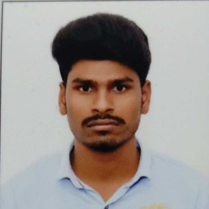 P Lalubasha-Freelancer in Hyderabad,India