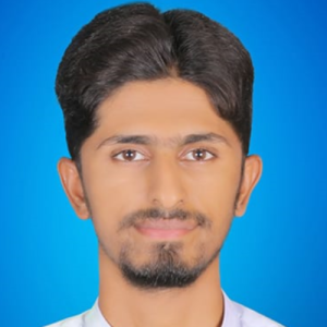 Rana Muhammad Wahhaj-Freelancer in Multan,Pakistan