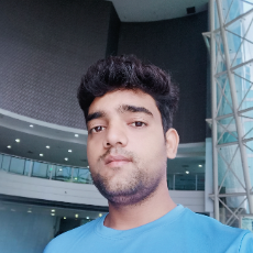 Salman Hussain-Freelancer in Bareilly,India