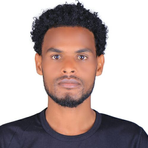 Ebisa Chemeda Kesi-Freelancer in Addis Ababa,Ethiopia